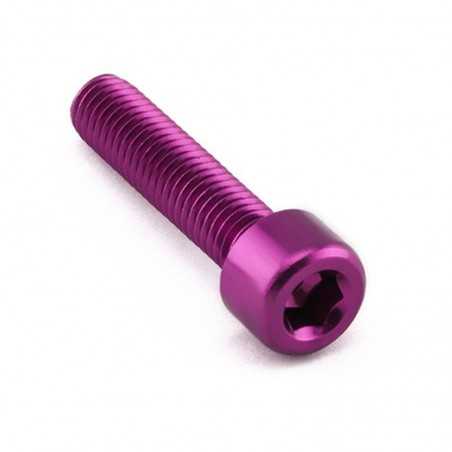 cylindrical head aluminum screw  m8 x (1.25mm) x 35mm lpb835