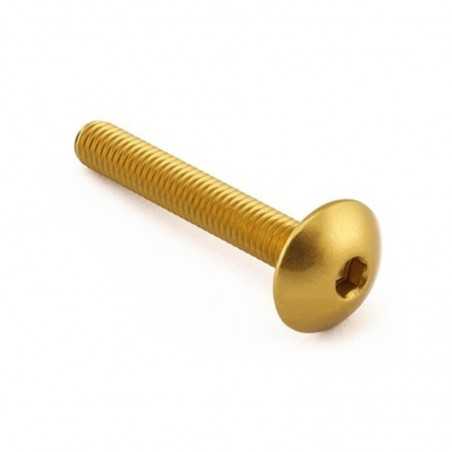 head aluminum screw  m6 x (1.00mm) x 40mm lfb640