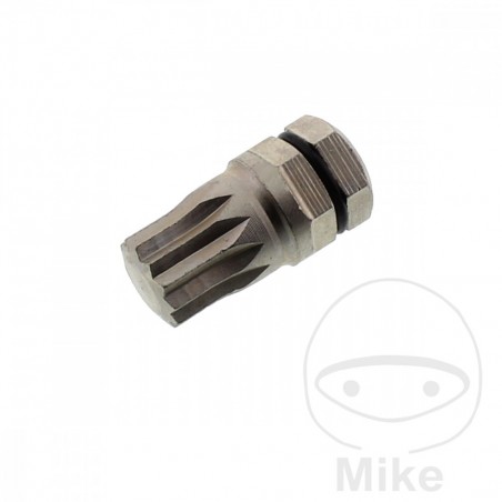 embout de tournevis multi-dents m10 10 mm