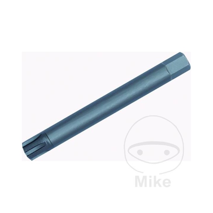 CONDOR Punta de destornillador para tornillos RIBE M14 10 MM 75 632.48.59