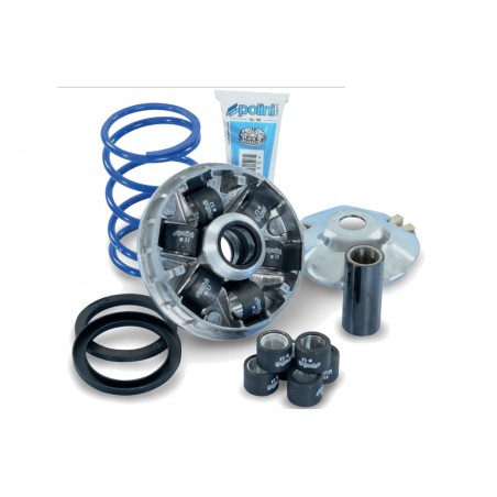 wariator do silnika piaggio hi-speed evolution