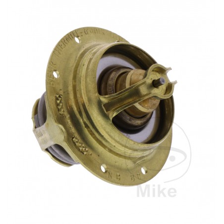 thermostat oem (rec original)