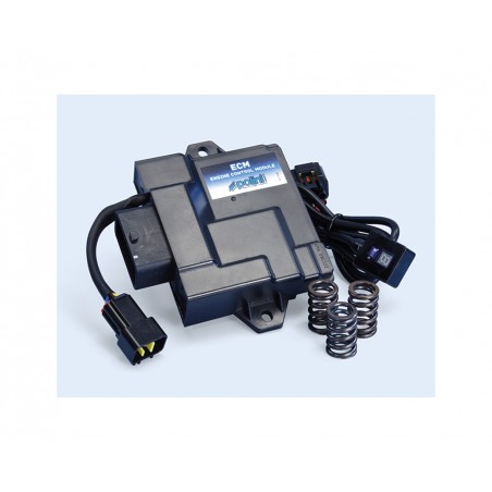 elektroniczna centralka ecu