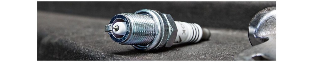STECKER