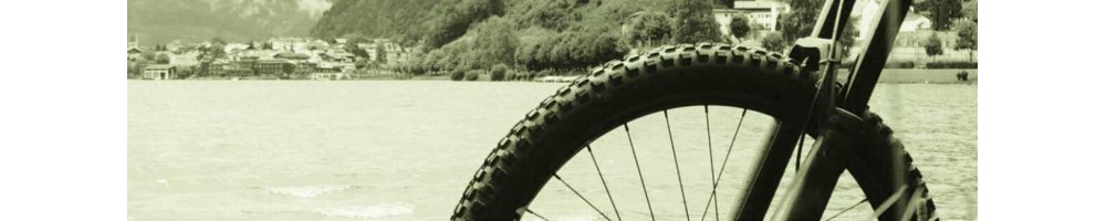 Roues de vélo Achetez en ligne! - Biketic